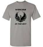 VOICES IN THE SKY