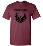 FIRE IN THE SKY