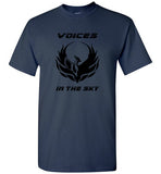 VOICES IN THE SKY