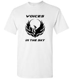 VOICES IN THE SKY