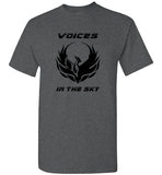 VOICES IN THE SKY
