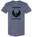 VOICES IN THE SKY