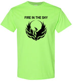 FIRE IN THE SKY